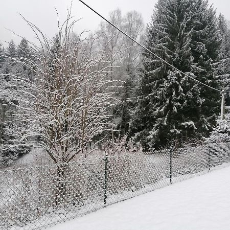 Ferienhaus am Wald Bad Elster Exterior foto