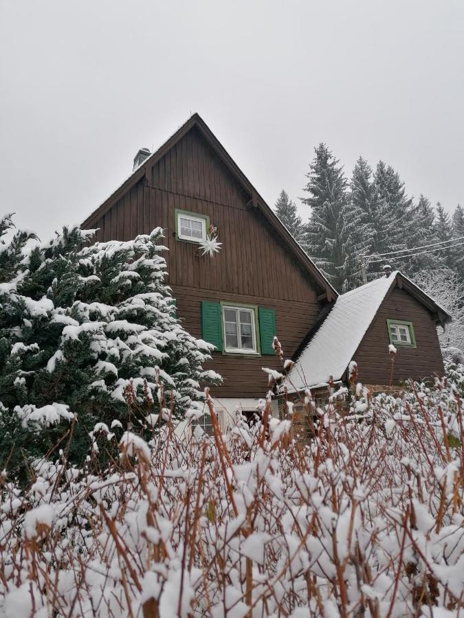 Ferienhaus am Wald Bad Elster Exterior foto