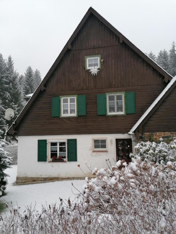 Ferienhaus am Wald Bad Elster Exterior foto