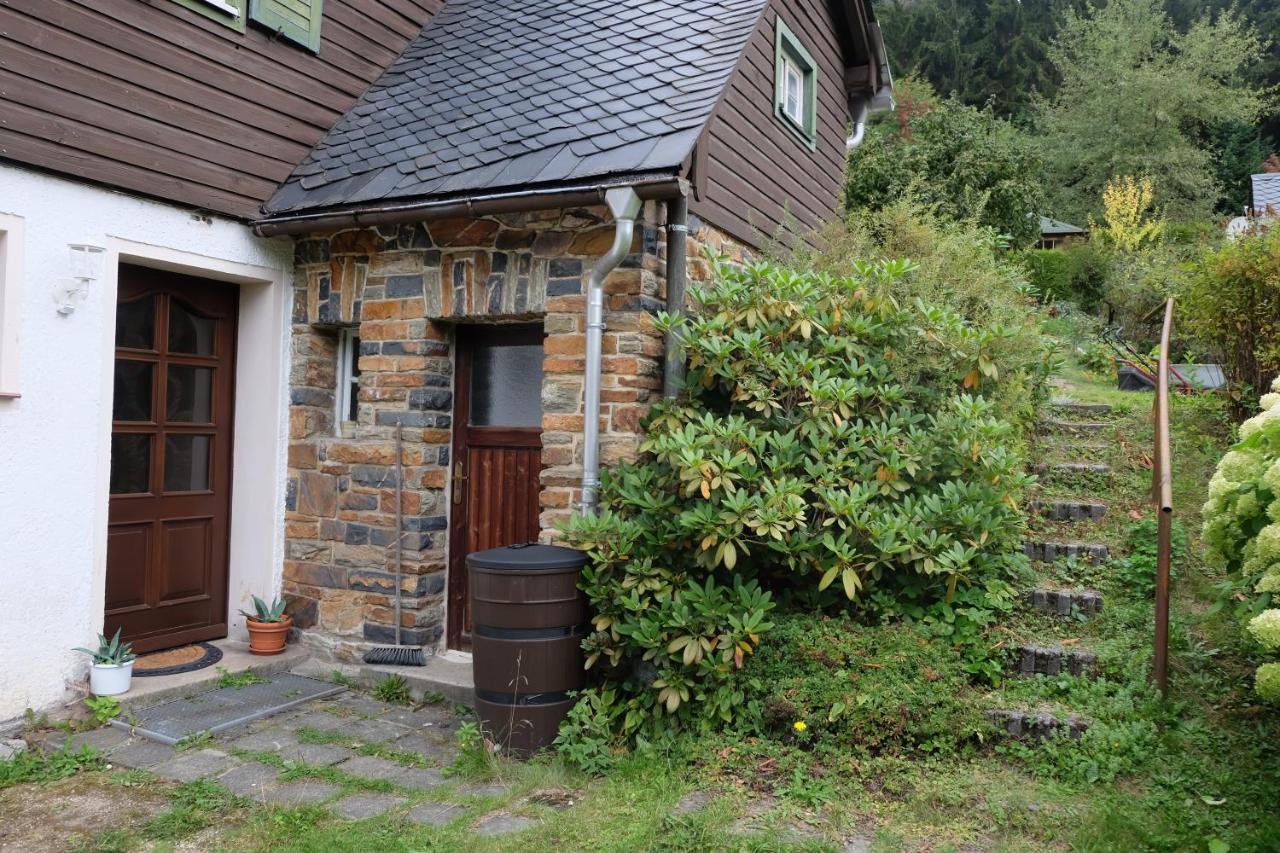 Ferienhaus am Wald Bad Elster Exterior foto